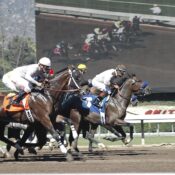 Can You Bet on Horse Races Online?